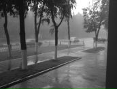 Фотография Yaschenko Sergey