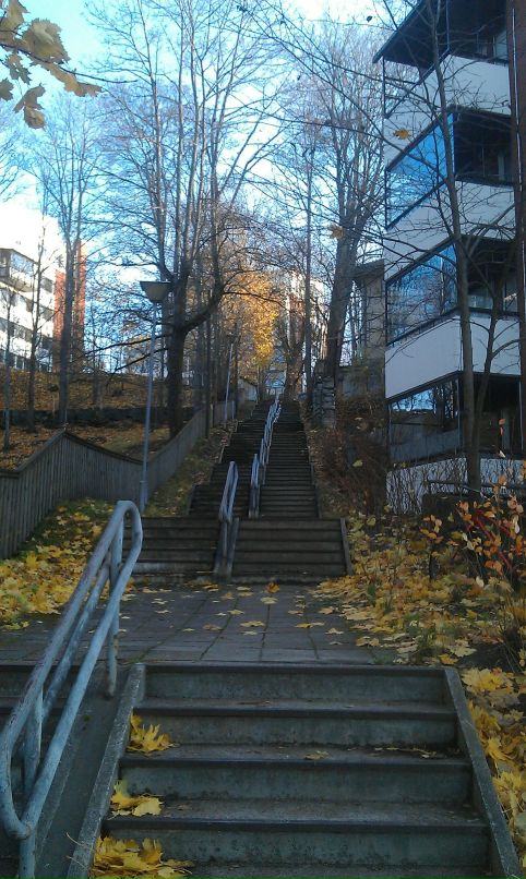 Степан Долбнин фотография #23