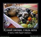Алусік Мул фотография #40 (источник - https://vk.com/id125561275)