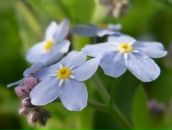 Фотография Матросовой Евгении