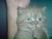 Фотография Хасановой Айгуль