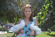 Фотография  