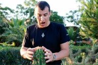 Фотография Dolphin Никиты