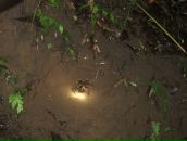 Дмитрий Гомон фотография #15 (источник - https://vk.com/id833603)