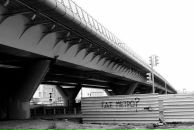 Роман Першин фотография #45 (источник - https://vk.com/id3557774)