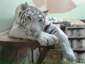 Фотография Яковлевой Надежды