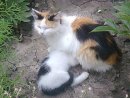 Ігор Чернуха фотография #45 (источник - https://vk.com/id29075785)