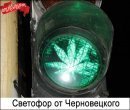 Васька Віговський фотография #15 (источник - https://vk.com/id28047971)