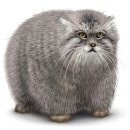 Софія Лепех фотография #44 (источник - https://vk.com/id52548270)