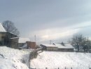 Пушкін Ос фотография #19 (источник - https://vk.com/id43388622)