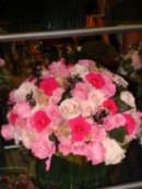 Анна Ершова фотография #45 (источник - https://vk.com/id4041552)