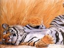 Фотография Целищева Кирилла