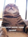 Фотография Бушуева Игоря