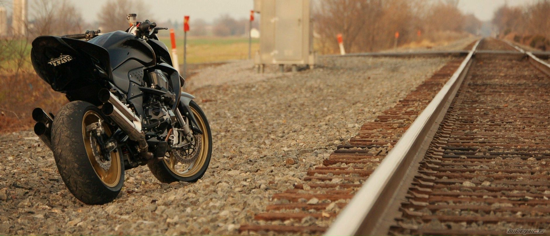 Руслан Зигангиров фотография #17