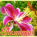 Лілія Омельчук фотография #9 (источник - https://vk.com/id61112655)