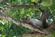 Игорь Муравьев фотография #16 (источник - https://vk.com/id1831208)