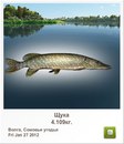 Тарас Гуржій фотография #35 (источник - https://vk.com/id156001958)