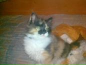 Фотография Мараказовой Наташи