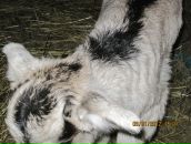 Фотография Зыриной Елены