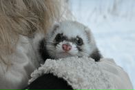 Фотография Котреховой Екатерины