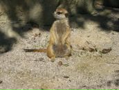 Фотография Чудиновой Светланы