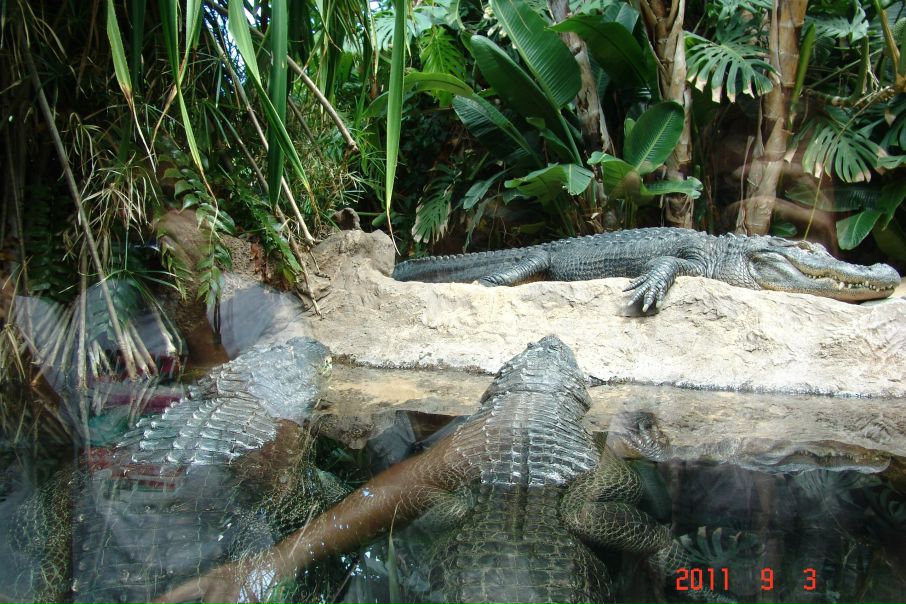 Руслан ... фото №42