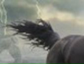 Сергей Осокин фотография #23 (источник - https://vk.com/id26323935)