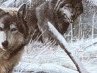 Ігор Парієнко фотография #24 (источник - https://vk.com/id167826980)