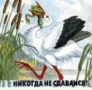 Фотография Новикова Павла