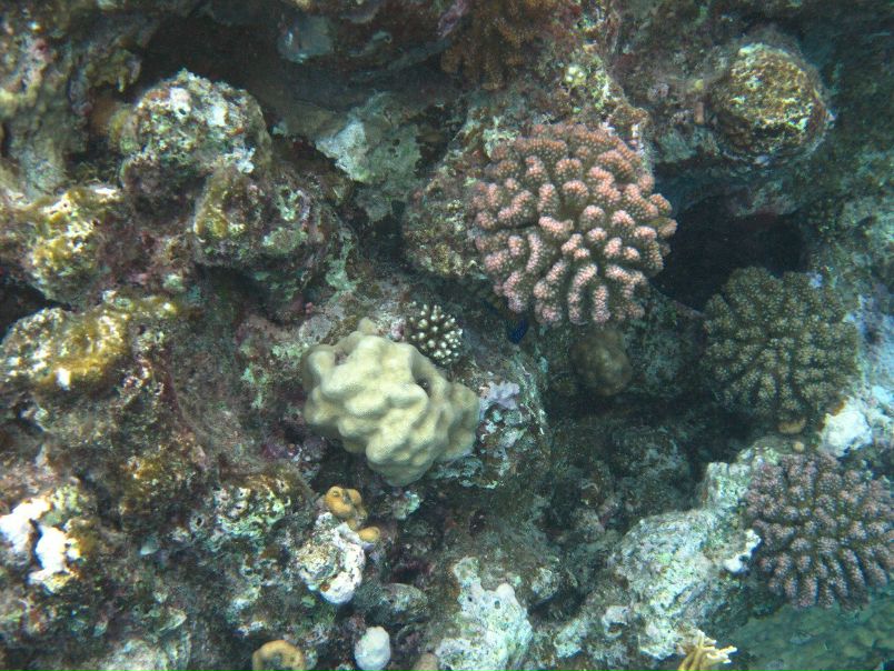 Борис Кишкилев фото №23