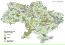 Κонстантин Ηикитин фотография #17 (источник - https://vk.com/id157221318)
