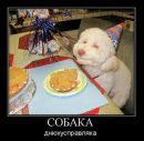 Фотография Сергеевой Екатерины