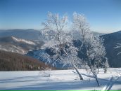 Sup Sup фотография #26 (источник - https://vk.com/id2285580)