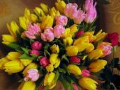 Фотография Степановой Наталии