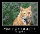 Андрій Рошко фотография #33 (источник - https://vk.com/id152548731)