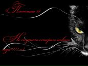 Діана Мурин фотография #1