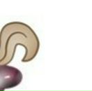 Наталія Коновальчук фотография #34 (источник - https://vk.com/id84428872)