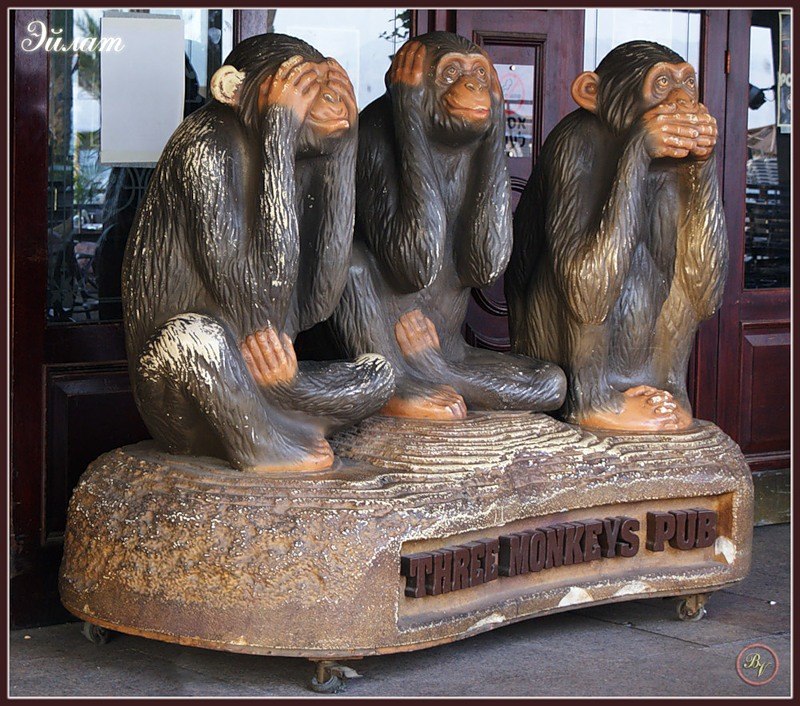 Иван Суворов фотография #6