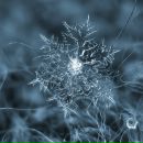 Фотография Егоровой Татьяны