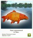 Андрій Муляр фотография #34 (источник - https://vk.com/id55169088)
