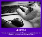 Ігор Крисенко фотография #44 (источник - https://vk.com/id64899113)