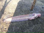 Діма Калюта фотография #8 (источник - https://vk.com/id100665406)