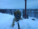 Сергей [забыл :d] фотография #4 (источник - https://vk.com/id101431842)