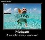 Vova Шмагін фотография #4 (источник - https://vk.com/id80011210)