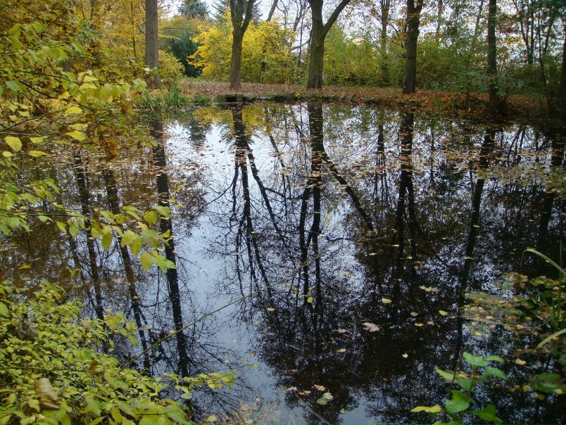 Ирина Ткаченко фото №1