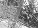 Дашулька Мімозка фотография #6 (источник - https://vk.com/id6637271)