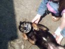 Вовік Boss фотография #38 (источник - https://vk.com/id44938988)