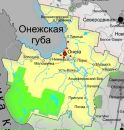 Фотография Некрасовой Светланы