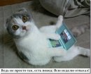 Ірина Сержантова фотография #20 (источник - https://vk.com/id43494093)