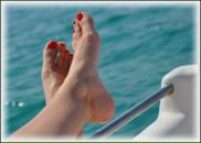 Фотография Бобр Екатерины